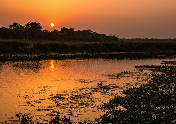 尼泊爾奇特旺的日落