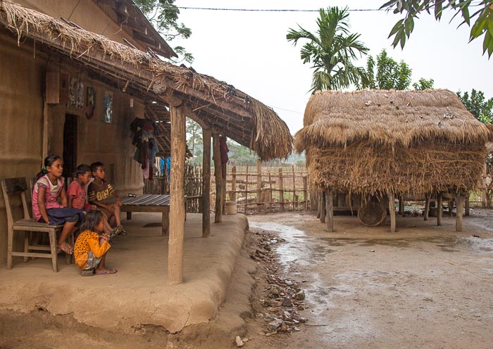尼泊爾奇特旺當地房屋