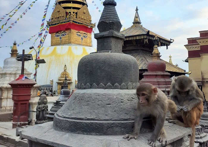 尼泊爾斯瓦揚布納特佛塔